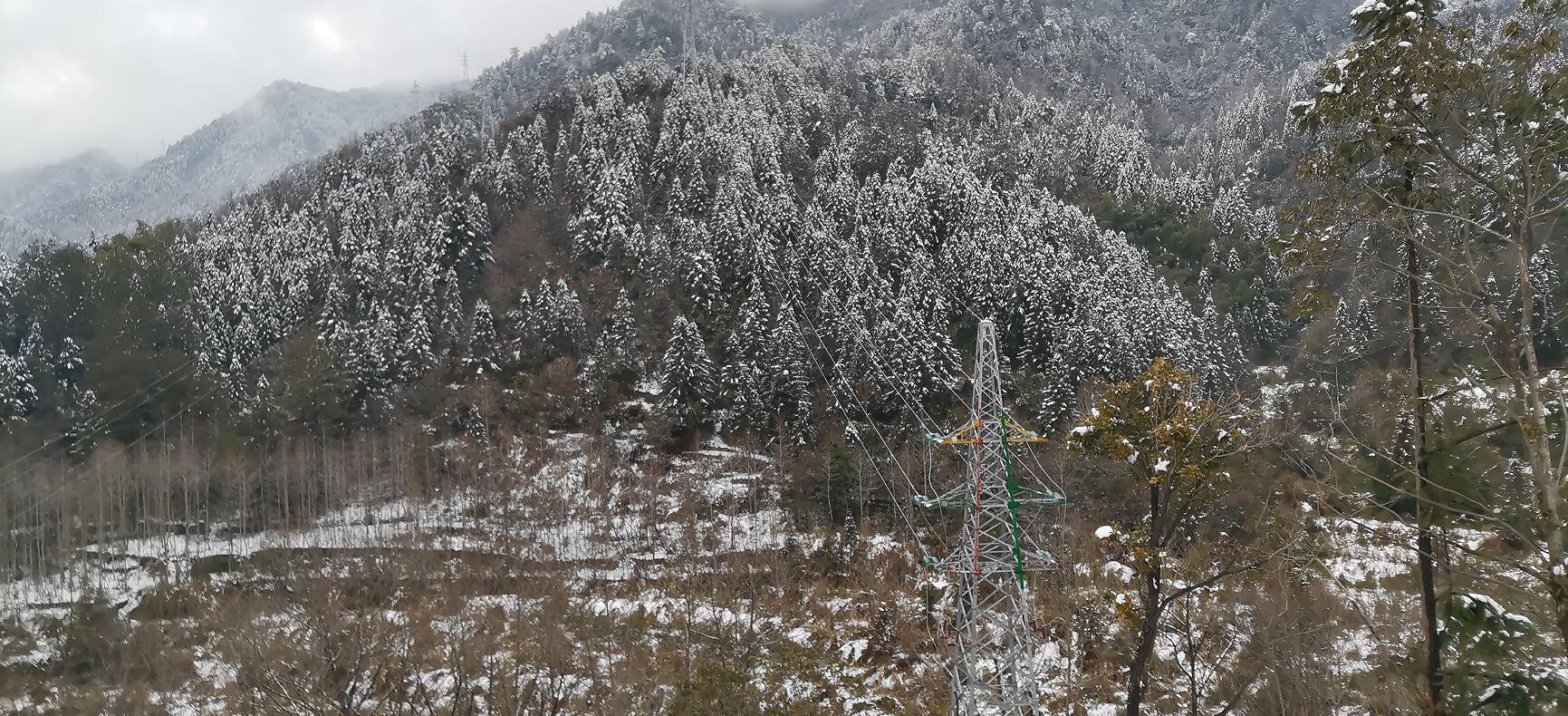 PG试玩