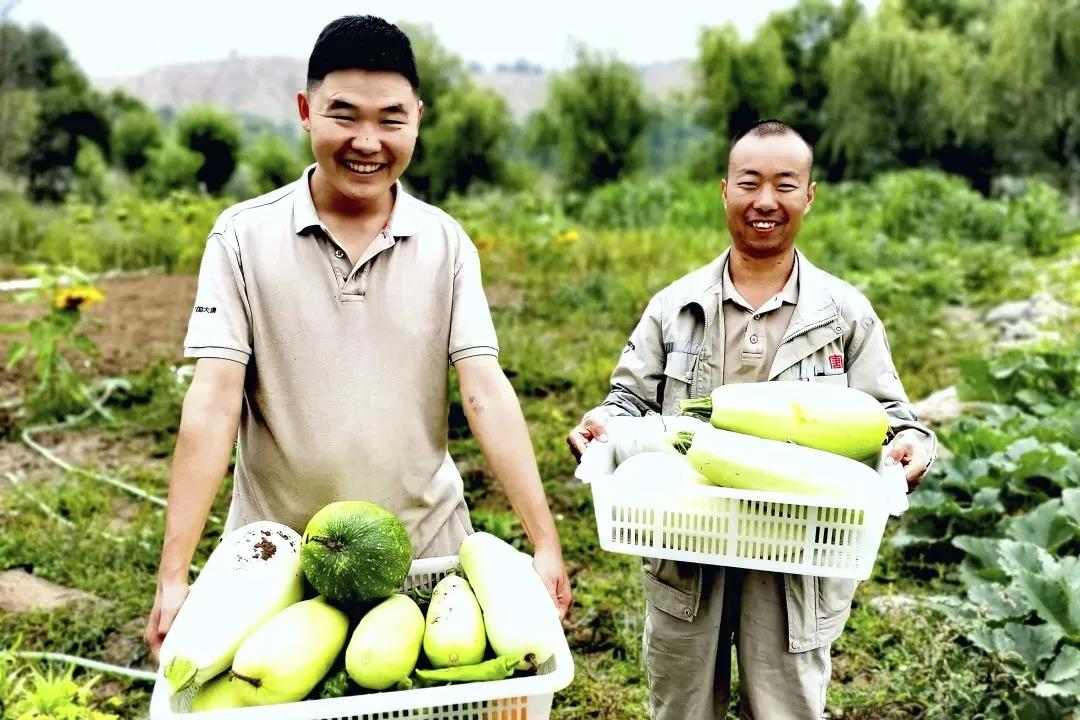 PG试玩