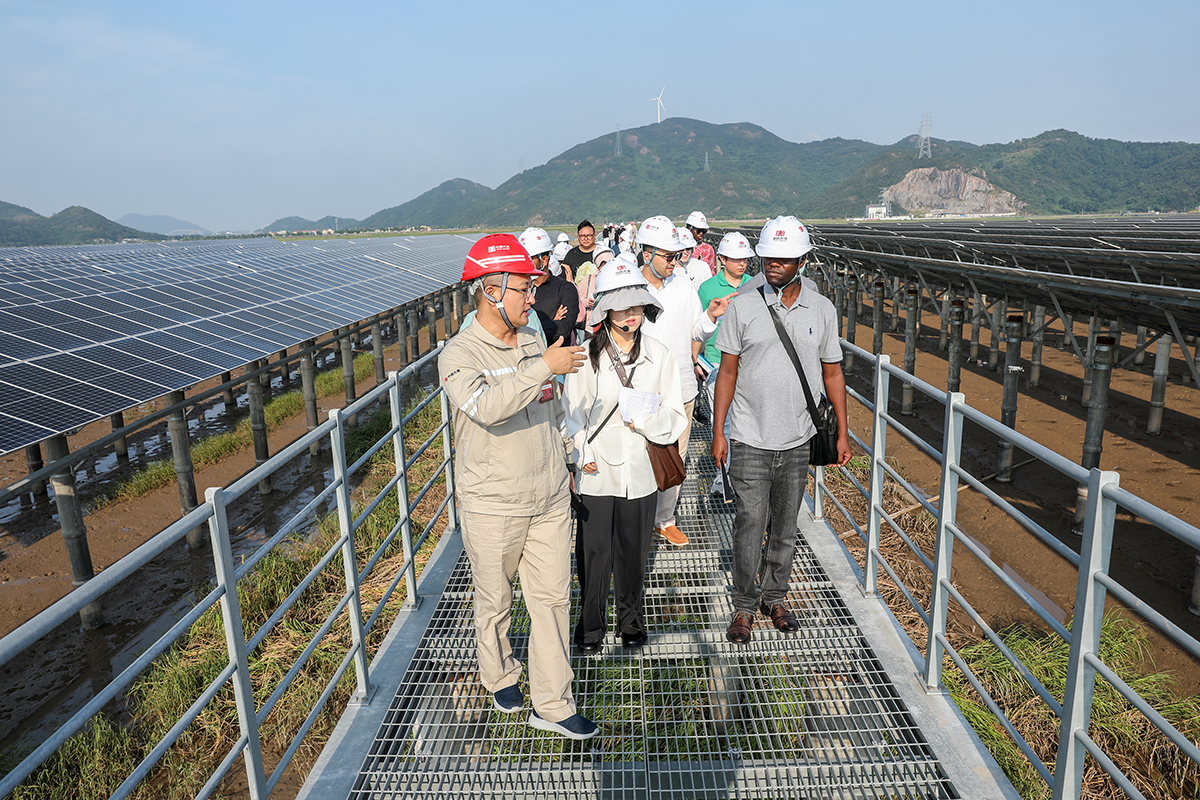 1723792320159062737.jpg PG试玩长大涂光伏电站参观1a.jpg